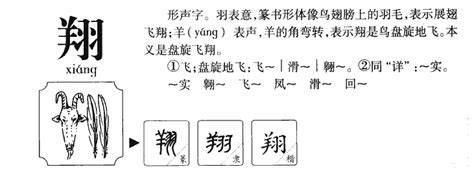 翔的五行|翔字五行属什么